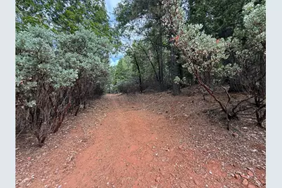 0 Pine Ridge Drive, Brownsville, CA 95919 - Photo 17