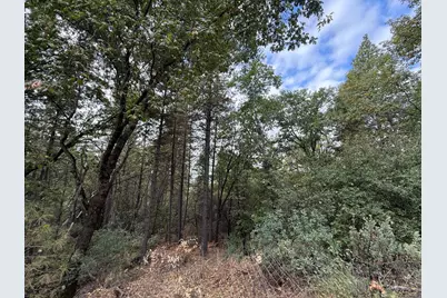 0 Pine Ridge Drive, Brownsville, CA 95919 - Photo 15