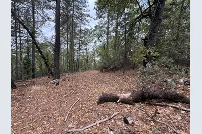 0 Pine Ridge Drive, Brownsville, CA 95919 - Photo 5