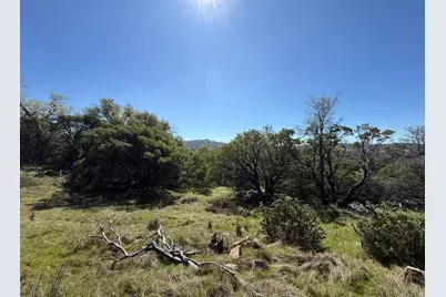 14370 Bodie Ridge Road, Nevada City, CA 95959 - Photo 13