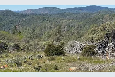 14370 Bodie Ridge Road, Nevada City, CA 95959 - Photo 9