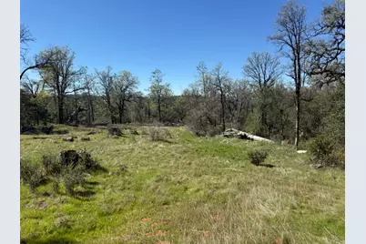 14370 Bodie Ridge Road, Nevada City, CA 95959 - Photo 5