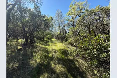 14370 Bodie Ridge Road, Nevada City, CA 95959 - Photo 11