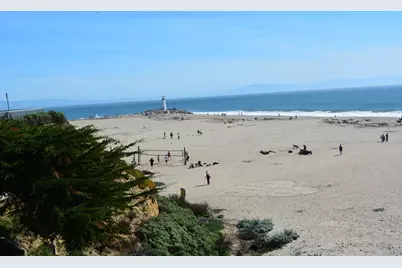 220 Atlantic Avenue #204, Santa Cruz, CA 95062 - Photo 43