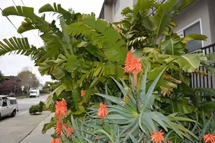 220 Atlantic Ave, Santa Cruz, CA 95062 - Photo 23