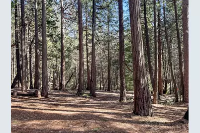 11582 Winter Moon Way, Nevada City, CA 95959 - Photo 41