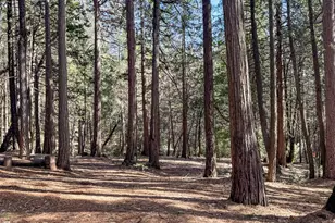 11582 Winter Moon Way, Nevada City, CA 95959 - Photo 41