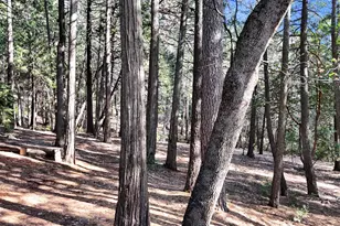 11582 Winter Moon Way, Nevada City, CA 95959 - Photo 39