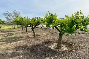 7484 Dusty Ln, Modesto, CA 95357 - Photo 39