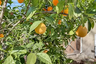 6016 Homesweet Way, Carmichael, CA 95608 - Photo 53