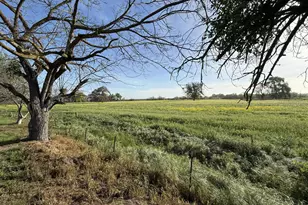 16400 Ash Ave, Patterson, CA 95363 - Photo 83