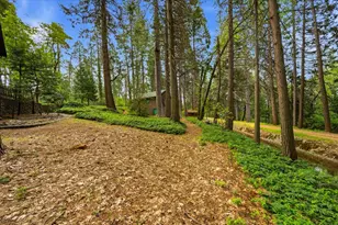 10085 Banner Lava Cap Rd, Nevada City, CA 95959 - Photo 53