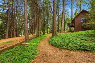 10085 Banner Lava Cap Rd, Nevada City, CA 95959 - Photo 45
