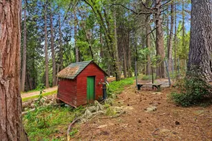 10085 Banner Lava Cap Rd, Nevada City, CA 95959 - Photo 49