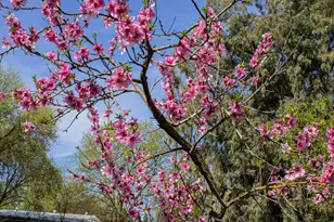 2191 Archer Ave, Live Oak, CA 95953 - Photo 9