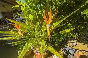 2191 Archer Ave, Live Oak, CA 95953 - Photo 41