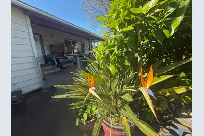 2191 Archer Avenue, Live Oak, CA 95953 - Photo 15