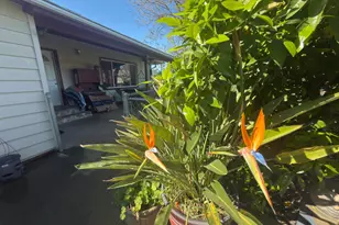 2191 Archer Ave, Live Oak, CA 95953 - Photo 15