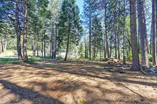 9 Charles Lynd Way, Forbestown, CA 95941 - Photo 25