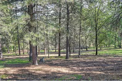 2065 Hotchkiss Court, Cool, CA 95614 - Photo 87