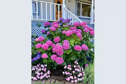 10800 Pickle Barrel Road, Auburn, CA 95602 - Photo 79