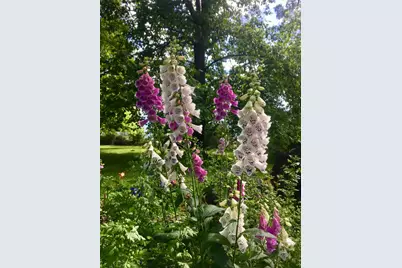 10800 Pickle Barrel Road, Auburn, CA 95602 - Photo 77