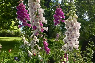 10800 Pickle Barrel Rd, Auburn, CA 95602 - Photo 77