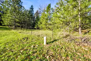 19634 Hwy 26, West Point, CA 95255 - Photo 33