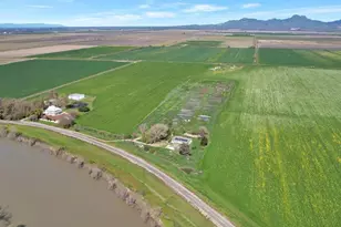 3974 S Meridian Rd, Meridian, CA 95957 - Photo 65