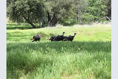 Wards Ferry Road #59, Sonora, CA 95370 - Photo 21