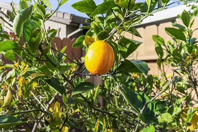 9984 Westminister, Elk Grove, CA 95757 - Photo 47