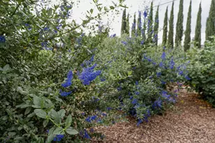 3409 Mansfield Ln, Modesto, CA 95350 - Photo 29