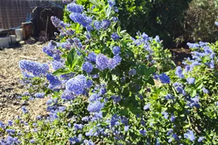 3409 Mansfield Ln, Modesto, CA 95350 - Photo 33