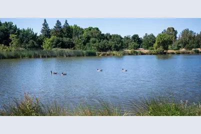 8137 Arrowfield Way, Elk Grove, CA 95757 - Photo 5