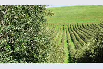 18615 Marsh Creek Road, Brentwood, CA 94513 - Photo 9