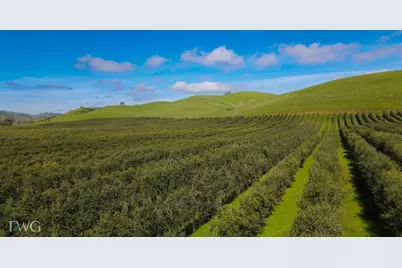 18615 Marsh Creek Road, Brentwood, CA 94513 - Photo 7