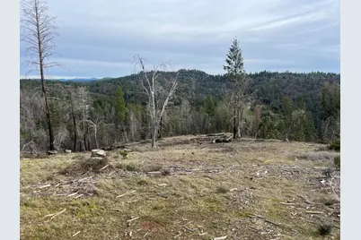 1720 River View Lane, Colfax, CA 95713 - Photo 37