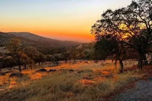 383 Quail Crk Dr, Copperopolis, CA 95228 - Photo 13