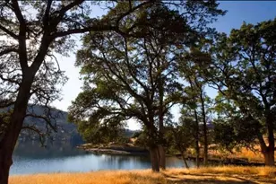 383 Quail Crk Dr, Copperopolis, CA 95228 - Photo 17