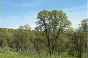 383 Quail Crk Dr, Copperopolis, CA 95228 - Photo 9