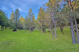 10095 Birchville Rd, Nevada City, CA 95959 - Photo 29