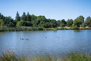 10355 Cadette Wy, Elk Grove, CA 95757 - Photo 11