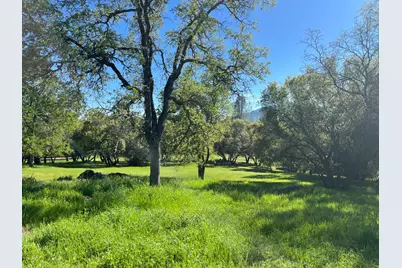 255 Blair Mine Road, Angels Camp, CA 95222 - Photo 19