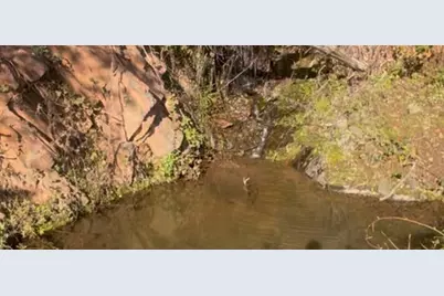 0 18675 Old Greek Mine Road, Mokelumne Hill, CA 95245 - Photo 5