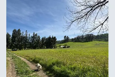 19890 County Road 79A, Capay, CA 95607 - Photo 23
