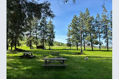 19890 County Road 79A, Capay, CA 95607 - Photo 21