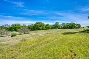 4915 Salmon Falls Rd, Pilot Hill, CA 95664 - Photo 1