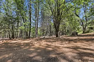 30695 Gold Run School Rd, Gold Run, CA 95717 - Photo 49