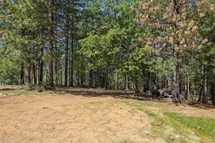 30695 Gold Run School Rd, Gold Run, CA 95717 - Photo 41