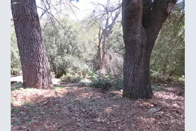 16670 Delores Court, Pioneer, CA 95666 - Photo 7